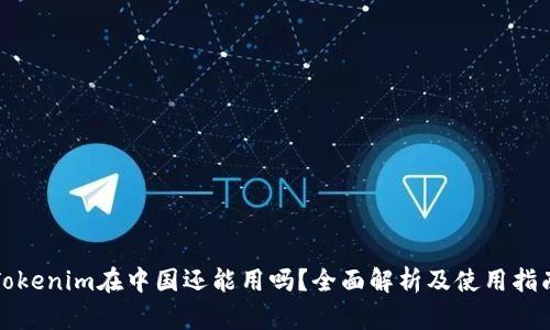 Tokenim在中国还能用吗？全面解析及使用指南
