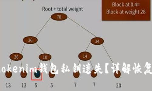 如何应对Tokentokenim钱包私钥遗失？详解恢复步骤与预防措施