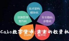 全面解析Cabo数字货币：未来的投资机遇与风险