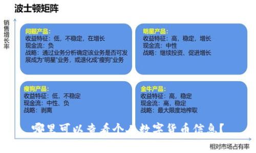哪里可以查看个人数字货币信息？