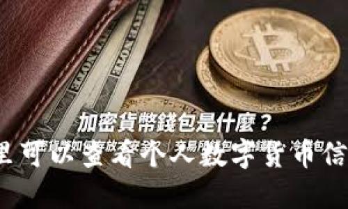 哪里可以查看个人数字货币信息？