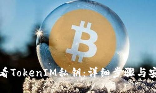 如何查看TokenIM私钥：详细步骤与安全指南