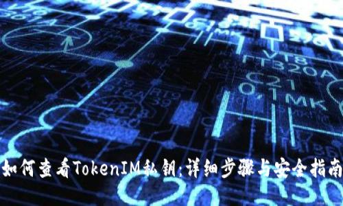 如何查看TokenIM私钥：详细步骤与安全指南