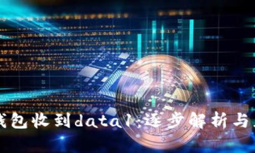 以太坊钱包收到data1：逐步解析与应用指南