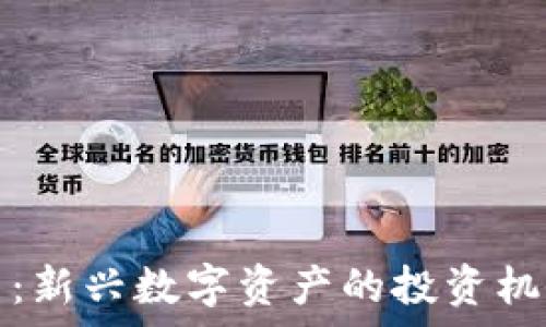   
数字黄金货币：新兴数字资产的投资机会与风险分析