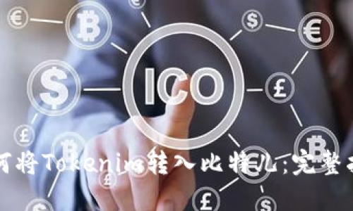 如何将Tokenim转入比特儿：完整指南