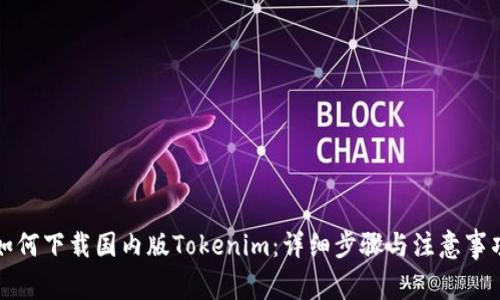 如何下载国内版Tokenim：详细步骤与注意事项