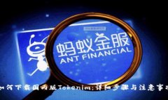 如何下载国内版Tokenim：详细步骤与注意事项