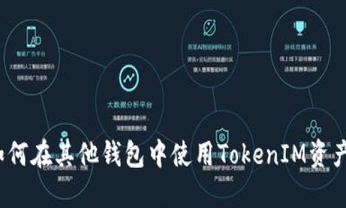 如何在其他钱包中使用TokenIM资产？