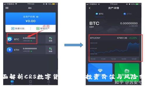 全面解析CRS数字货币收益：投资价值与风险分析