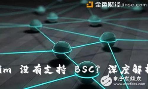 为何 Tokenim 没有支持 BSC? 深度解析与未来展望