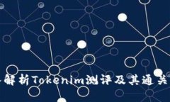 深入解析Tokenim测评及其通关攻略