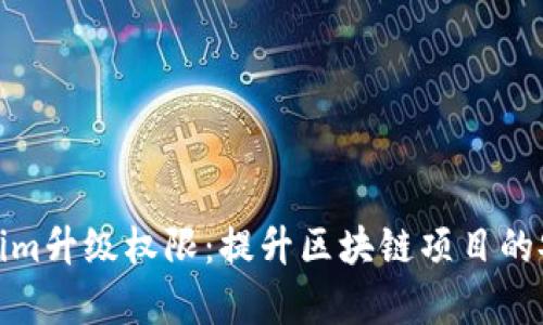 全面解析Tokenim升级权限：提升区块链项目的安全性与灵活性