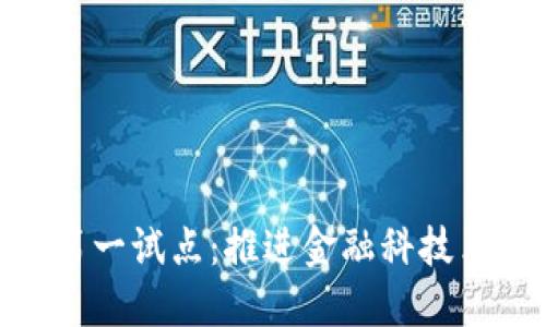 数字货币第一试点：推进金融科技革命的先锋