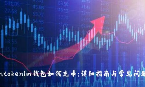 Tokentokenim钱包如何充币：详细指南与常见问题解答
