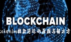  tokenim提款延迟的原因与解决方案