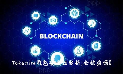 Tokenim钱包安全性分析：会被盗吗？