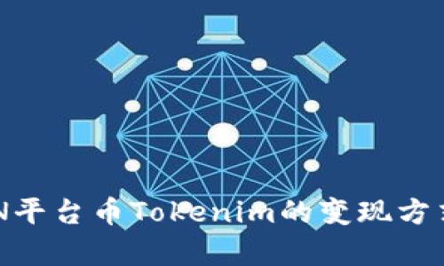 深入解析EPN平台币Tokenim的变现方式与未来展望