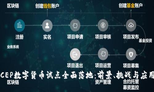 2023年DCEP数字货币试点全面落地：前景、挑战与应用前景解析
