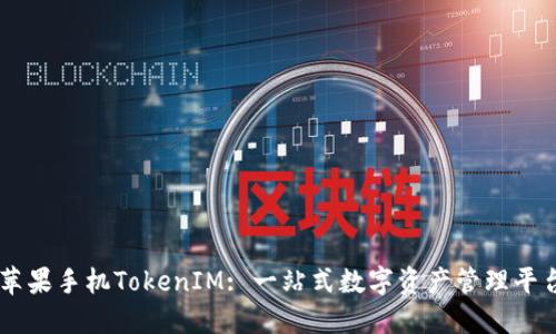 苹果手机TokenIM: 一站式数字资产管理平台