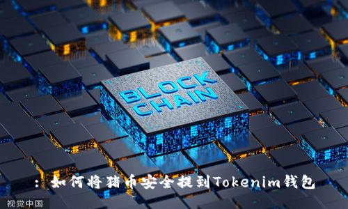 : 如何将猪币安全提到Tokenim钱包