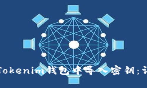 如何在Tokenim钱包中导入密钥：详细指南