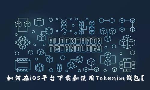 如何在iOS平台下载和使用Tokenim钱包？