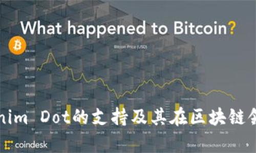 深入探讨Tokenim Dot的支持及其在区块链领域的应用前景