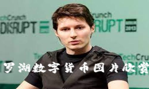 高质量罗湖数字货币图片欣赏与解析