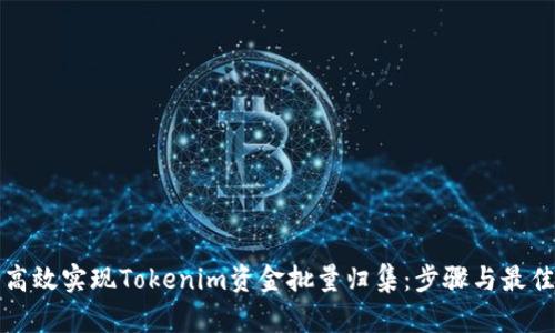 如何高效实现Tokenim资金批量归集：步骤与最佳实践
