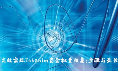 如何高效实现Tokenim资金批量归集：步骤与最佳实践