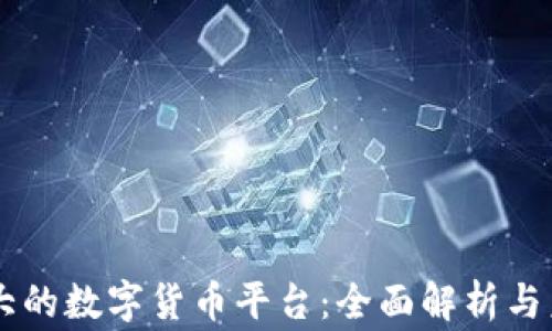 
国家最大的数字货币平台：全面解析与未来展望