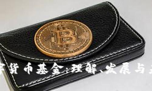 央行数字货币基金：理解、发展与未来前景