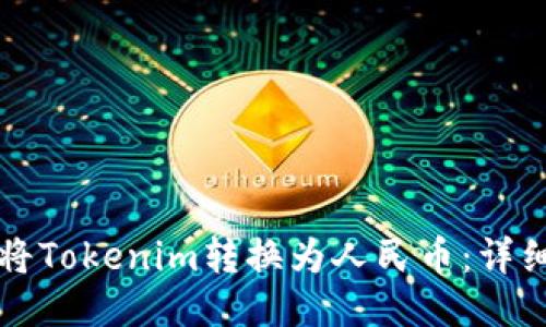 如何将Tokenim转换为人民币：详细指南