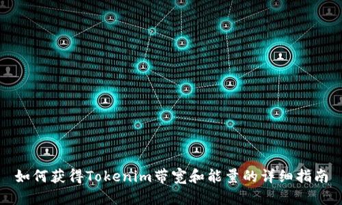 如何获得Tokenim带宽和能量的详细指南