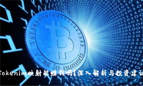 Tokenim映射能赚钱吗？深入解析与投资建议