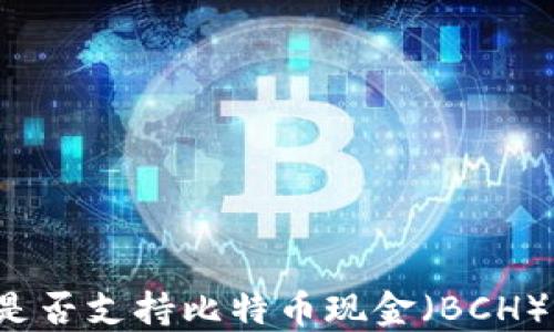 
以太坊钱包是否支持比特币现金（BCH）？详解与比较