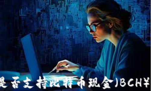 
以太坊钱包是否支持比特币现金（BCH）？详解与比较