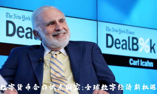   
数字货币合作试点国家：全球数字经济新机遇