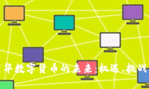 探索苏引华数字货币的未来：机遇、挑战与影响力