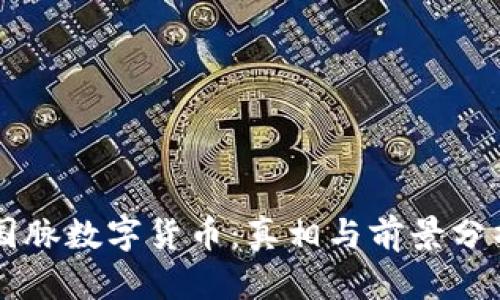 国脉数字货币：真相与前景分析