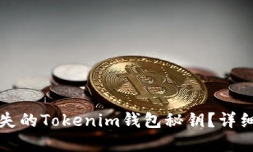 如何找回丢失的Tokenim钱包秘钥？详细攻略与解答