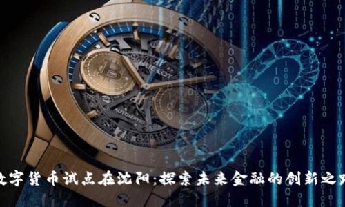 数字货币试点在沈阳：探索未来金融的创新之路