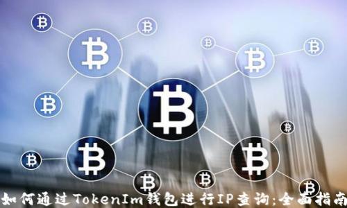 
如何通过TokenIm钱包进行IP查询：全面指南