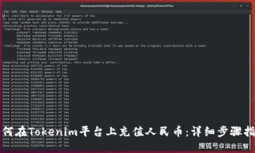 如何在Tokenim平台上充值人民币：详细步骤指南