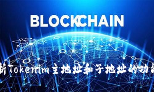 深入解析Tokenim主地址和子地址的功能与应用