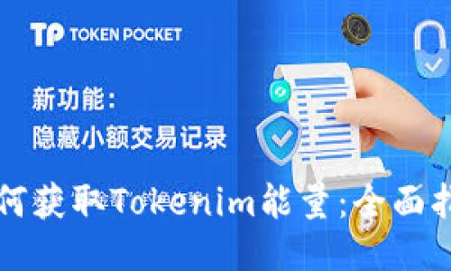 如何获取Tokenim能量：全面指南