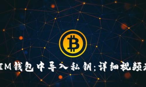 如何在TokenTokenIM钱包中导入私钥：详细视频教程及常见问题解析