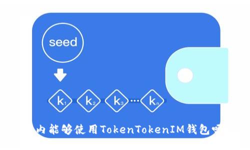 国内能够使用TokenTokenIM钱包吗？
