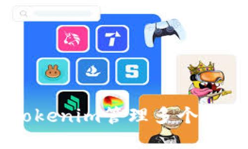 如何使用Tokenim管理多个地址 Wallet